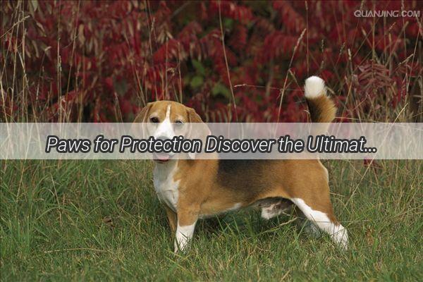 Paws for Protection Discover the Ultimate Vaccination Hotspots for Your Furry Friend